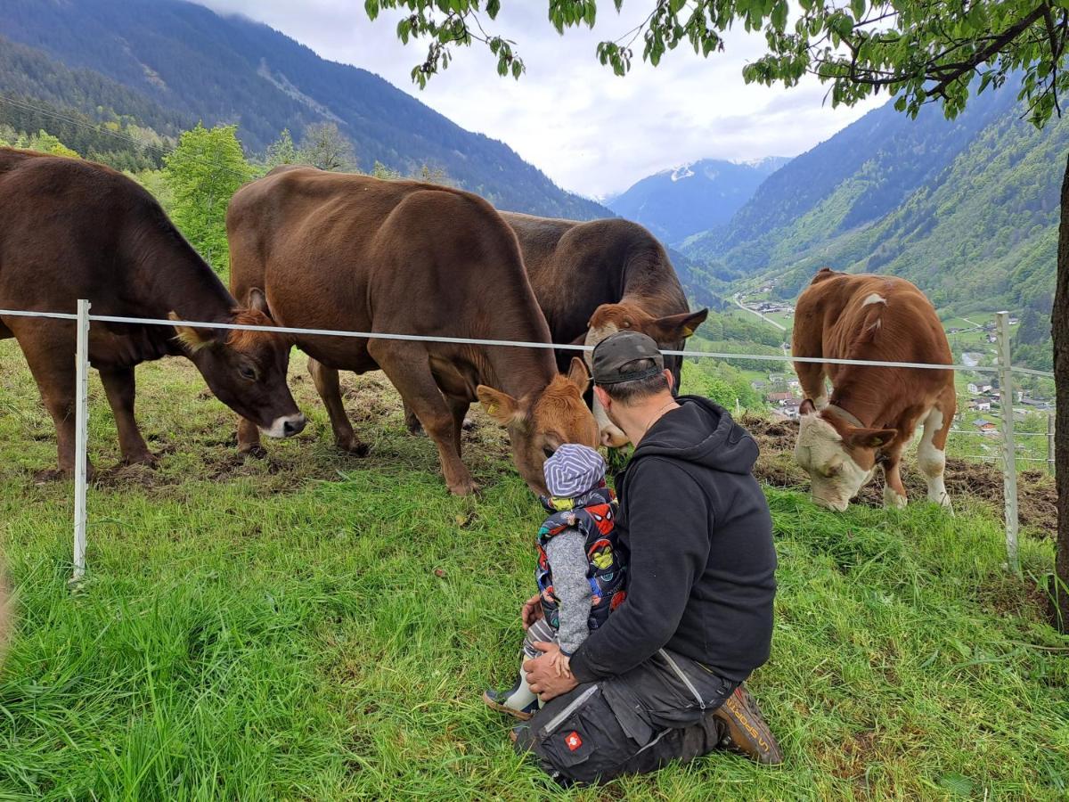 Alpenbauernhaus Konzett شرنز المظهر الخارجي الصورة